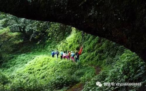 小猫钓鱼开船版最新版下载
